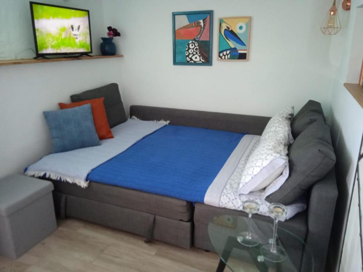 Trini Apartament La Jaca